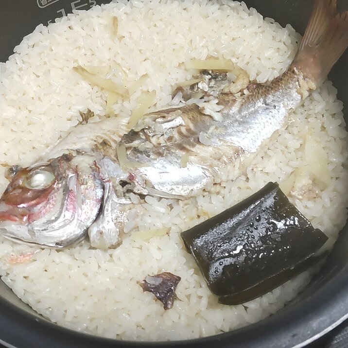 炊飯器で鯛めし